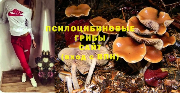 эйфоретик Алзамай